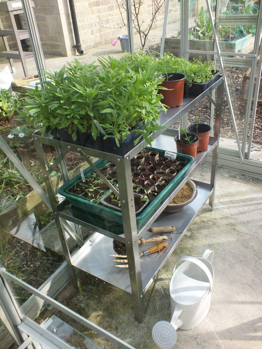 Greenhouse Staging in Stainless Steel