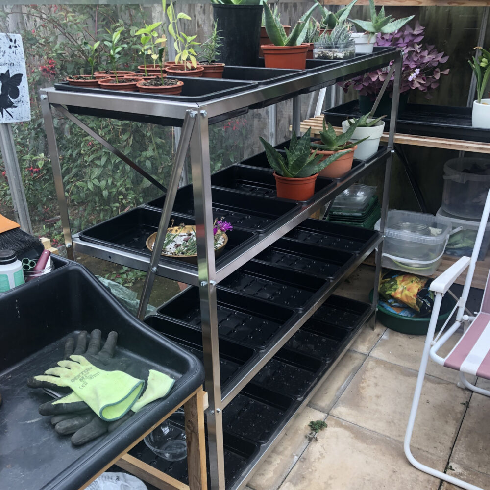 Greenhouse Staging Seed Tray Stand - Image 2