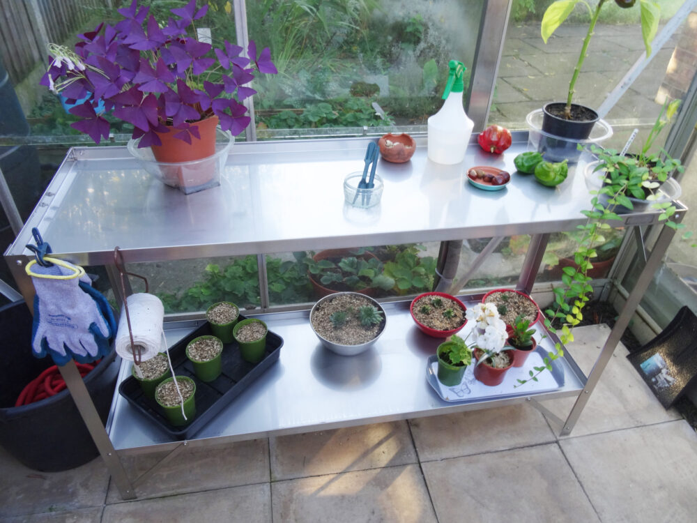 Garden Shelving / Greenhouse Staging - Image 6